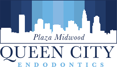 Plaza Midwood Location logo